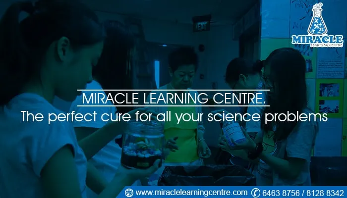 Importance of Science in STEM Education