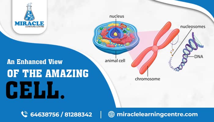 wonders of cells with science tuition