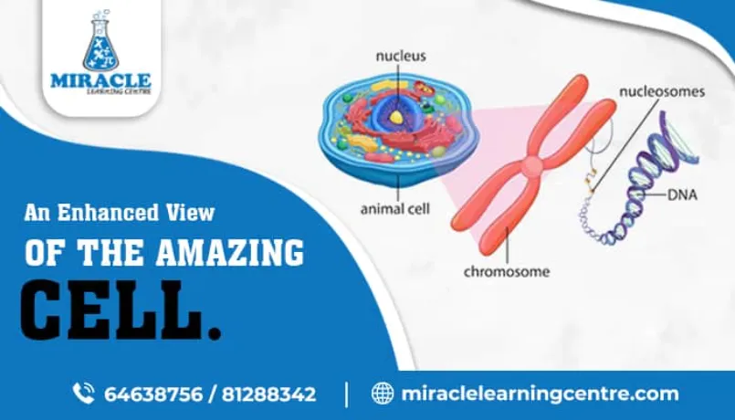 Cells Concept in Science Tuition Singapore