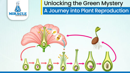 Unlocking the Green Mystery - A Journey into Plant Reproduction!