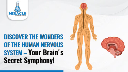 Discover the Wonders of the Human Nervous System – Your Brain's Secret Symphony!