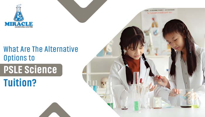 What Are The Alternative Options to PSLE Science Tuition