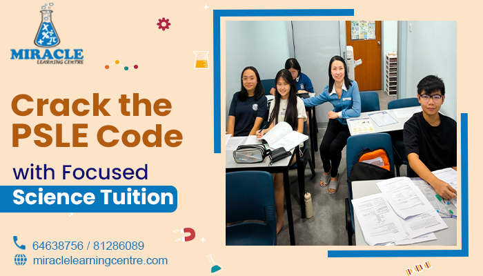 psle tuition