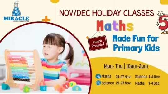 Crash Course In Singapore