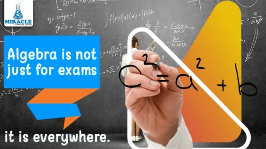 real-life uses of algebra