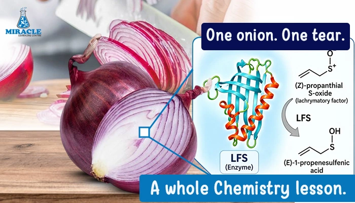 chemistry behind onion tears