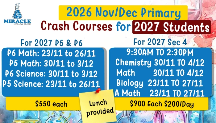 2026 Nov/Dec Primary Crash Courses